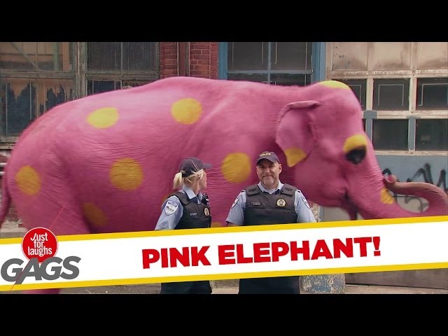 Pink Elephant Porn